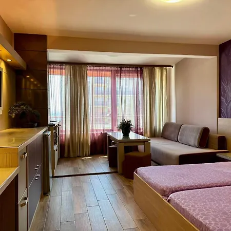 роси 3* ポモリエ